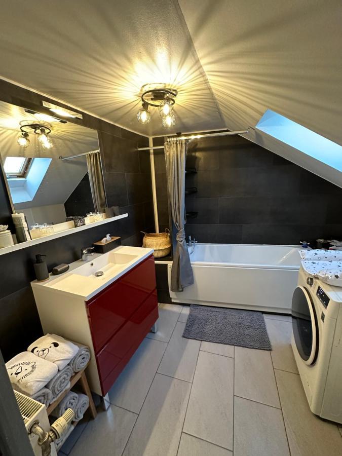 Apartment Le Cocon De Proche Europapark *
