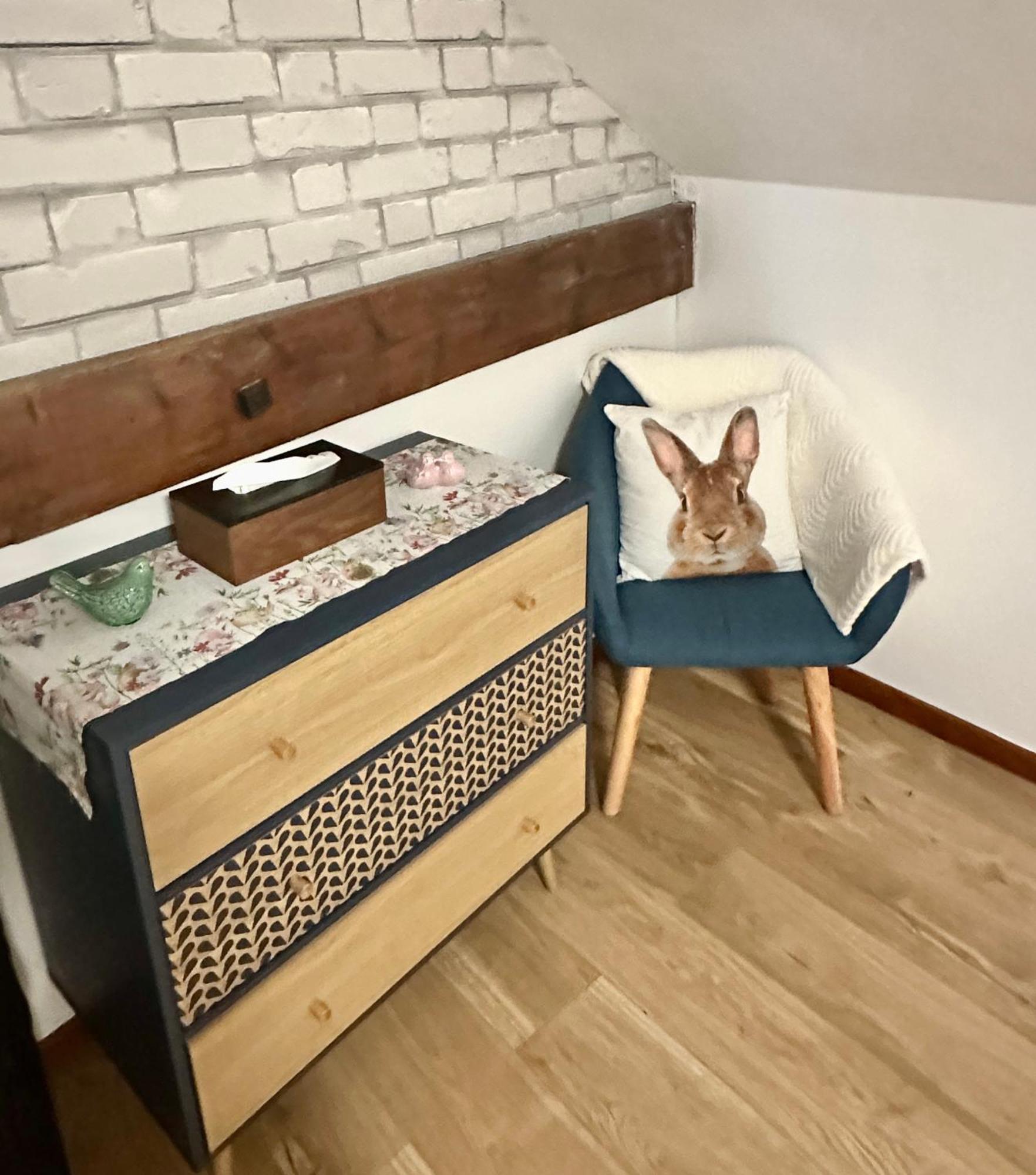 Le Cocon De Proche Europapark Apartment